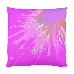 Big Bang Standard Cushion Case (one Side) by ValentinaDesign