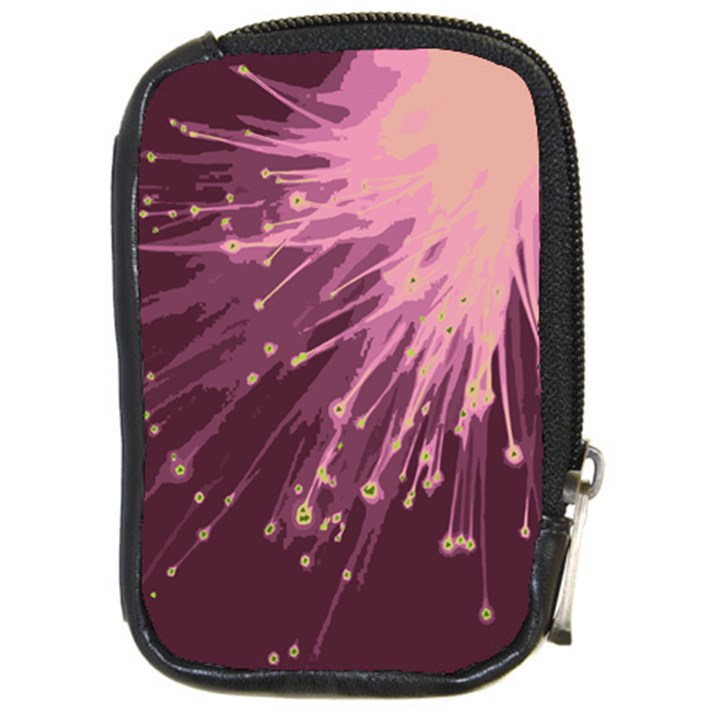 Big bang Compact Camera Cases