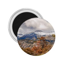 Forest And Snowy Mountains, Patagonia, Argentina 2 25  Magnets by dflcprints