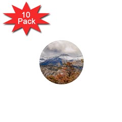 Forest And Snowy Mountains, Patagonia, Argentina 1  Mini Magnet (10 Pack)  by dflcprints