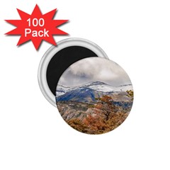 Forest And Snowy Mountains, Patagonia, Argentina 1 75  Magnets (100 Pack)  by dflcprints