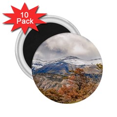 Forest And Snowy Mountains, Patagonia, Argentina 2 25  Magnets (10 Pack)  by dflcprints