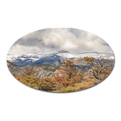 Forest And Snowy Mountains, Patagonia, Argentina Oval Magnet by dflcprints