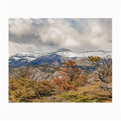 Forest And Snowy Mountains, Patagonia, Argentina Small Glasses Cloth by dflcprints