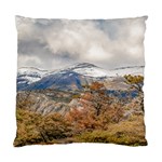 Forest And Snowy Mountains, Patagonia, Argentina Standard Cushion Case (One Side) Front