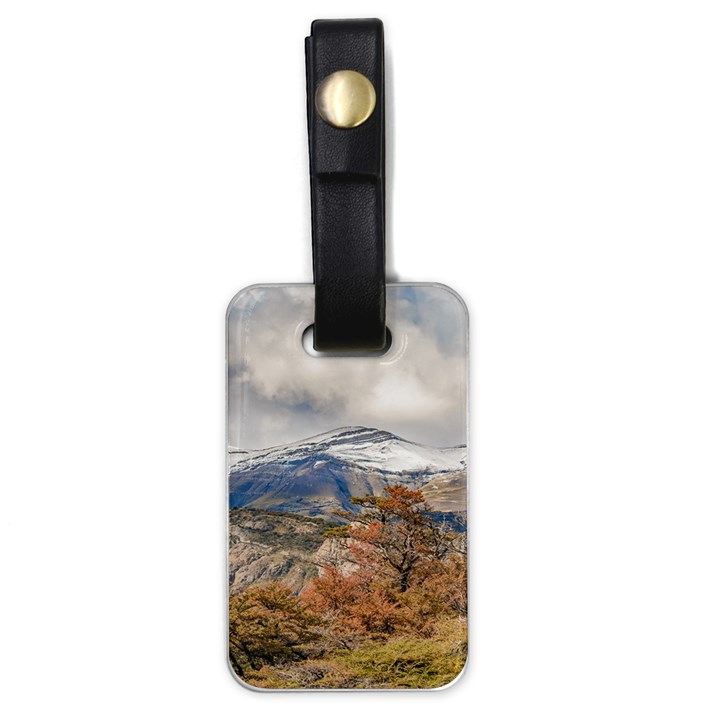 Forest And Snowy Mountains, Patagonia, Argentina Luggage Tags (One Side) 