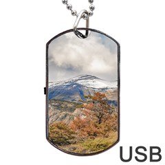 Forest And Snowy Mountains, Patagonia, Argentina Dog Tag Usb Flash (one Side) by dflcprints