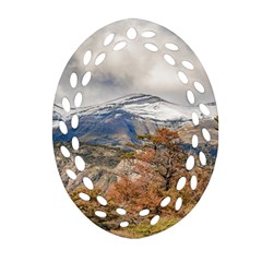 Forest And Snowy Mountains, Patagonia, Argentina Oval Filigree Ornament (two Sides) by dflcprints