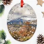 Forest And Snowy Mountains, Patagonia, Argentina Oval Filigree Ornament (Two Sides) Front