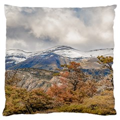 Forest And Snowy Mountains, Patagonia, Argentina Standard Flano Cushion Case (one Side) by dflcprints