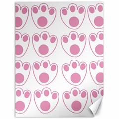 Rabbit Feet Paw Pink Foot Animals Canvas 18  x 24  