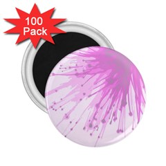 Big bang 2.25  Magnets (100 pack) 