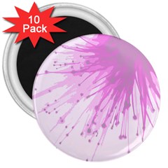 Big bang 3  Magnets (10 pack) 