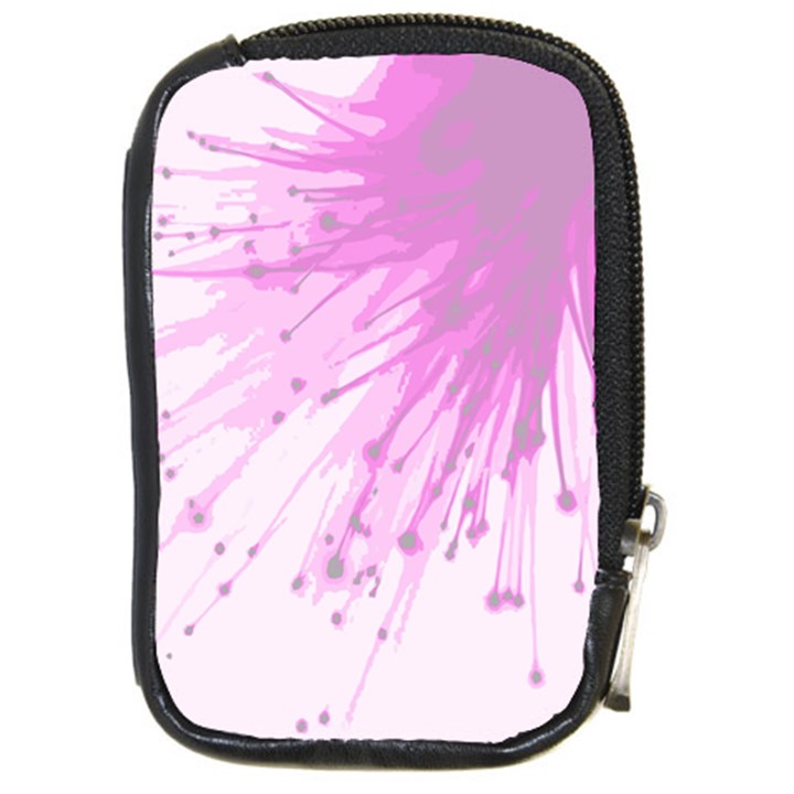 Big bang Compact Camera Cases