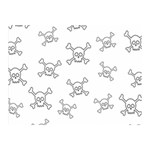 Skull pattern Double Sided Flano Blanket (Mini)  35 x27  Blanket Front