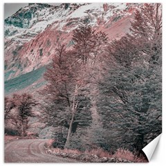 Gravel Empty Road Parque Nacional Los Glaciares Patagonia Argentina Canvas 20  X 20   by dflcprints