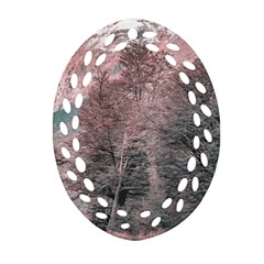 Gravel Empty Road Parque Nacional Los Glaciares Patagonia Argentina Ornament (oval Filigree) by dflcprints