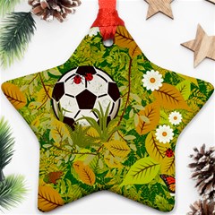 Ball On Forest Floor Star Ornament (two Sides) by linceazul