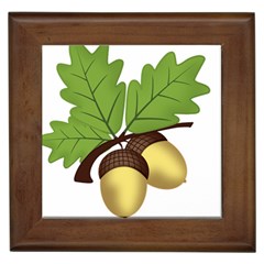 Acorn Hazelnuts Nature Forest Framed Tiles by Nexatart