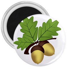 Acorn Hazelnuts Nature Forest 3  Magnets by Nexatart