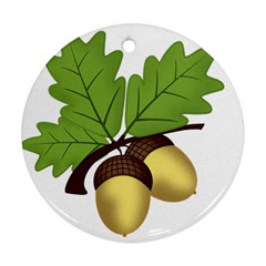 Acorn Hazelnuts Nature Forest Ornament (round) by Nexatart