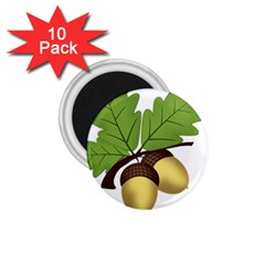 Acorn Hazelnuts Nature Forest 1 75  Magnets (10 Pack)  by Nexatart