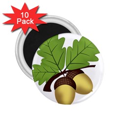 Acorn Hazelnuts Nature Forest 2 25  Magnets (10 Pack)  by Nexatart