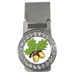 Acorn Hazelnuts Nature Forest Money Clips (cz)  by Nexatart