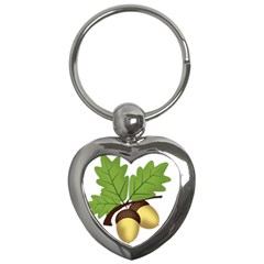 Acorn Hazelnuts Nature Forest Key Chains (heart)  by Nexatart