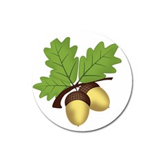 Acorn Hazelnuts Nature Forest Magnet 3  (round) by Nexatart