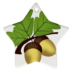 Acorn Hazelnuts Nature Forest Star Ornament (two Sides) by Nexatart