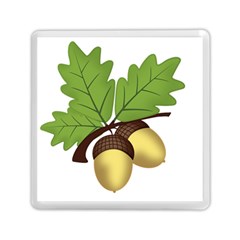 Acorn Hazelnuts Nature Forest Memory Card Reader (square)  by Nexatart