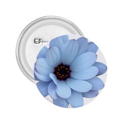 Daisy Flower Floral Plant Summer 2 25  Buttons by Nexatart