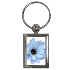 Daisy Flower Floral Plant Summer Key Chains (rectangle)  by Nexatart