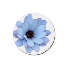 Daisy Flower Floral Plant Summer Rubber Coaster (round)  by Nexatart