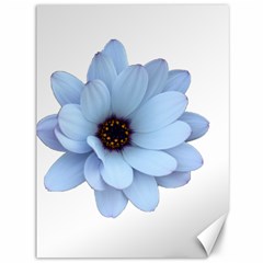 Daisy Flower Floral Plant Summer Canvas 36  X 48   by Nexatart