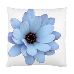 Daisy Flower Floral Plant Summer Standard Cushion Case (one Side) by Nexatart