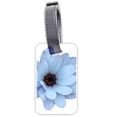 Daisy Flower Floral Plant Summer Luggage Tags (one Side)  by Nexatart