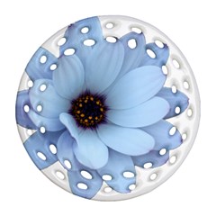 Daisy Flower Floral Plant Summer Ornament (round Filigree) by Nexatart