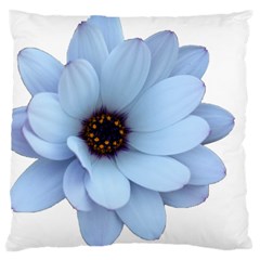 Daisy Flower Floral Plant Summer Large Cushion Case (one Side) by Nexatart