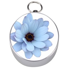 Daisy Flower Floral Plant Summer Silver Compasses by Nexatart