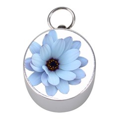 Daisy Flower Floral Plant Summer Mini Silver Compasses by Nexatart