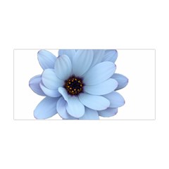 Daisy Flower Floral Plant Summer Yoga Headband by Nexatart