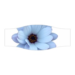 Daisy Flower Floral Plant Summer Stretchable Headband