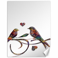 Birds Abstract Exotic Colorful Canvas 12  X 16   by Nexatart