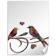 Birds Abstract Exotic Colorful Canvas 36  X 48   by Nexatart