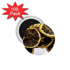 Lemon Dried Fruit Orange Isolated 1 75  Magnets (100 Pack)  by Nexatart