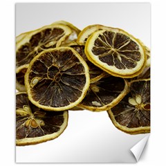 Lemon Dried Fruit Orange Isolated Canvas 8  X 10  by Nexatart