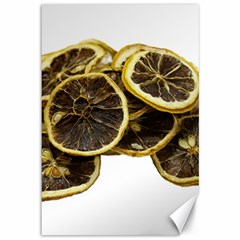 Lemon Dried Fruit Orange Isolated Canvas 12  X 18   by Nexatart