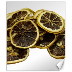 Lemon Dried Fruit Orange Isolated Canvas 20  X 24   by Nexatart